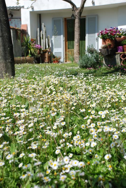 Bed And Breakfast Il Girasole Lamporecchio Buitenkant foto